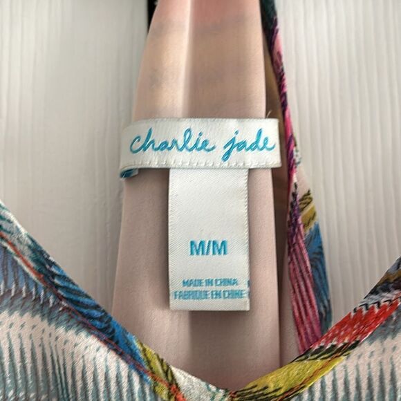 Charlie Jade Women’s Multi Color Striped Spaghetti Strap Dress - Picture 4 of 9